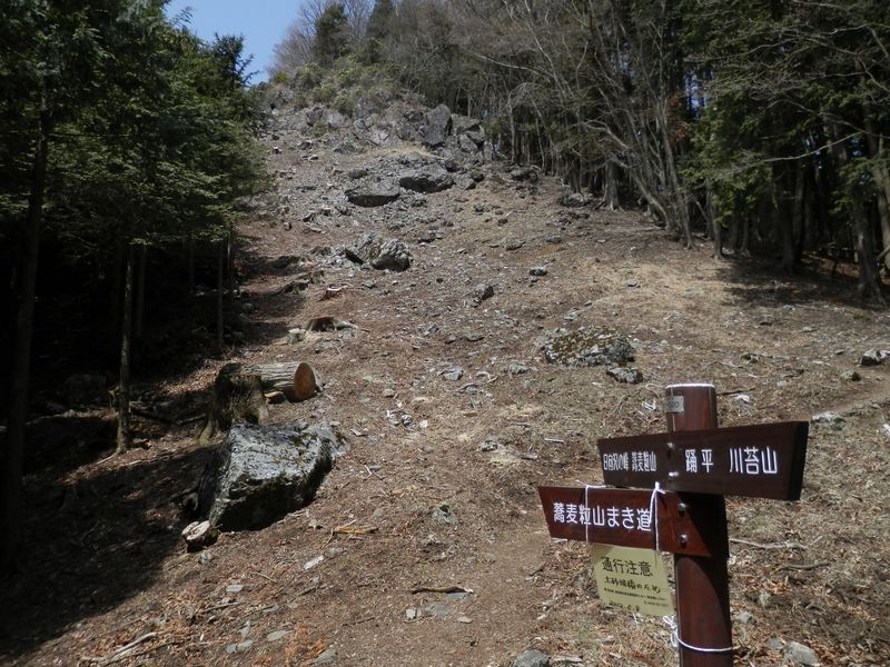 日向沢ノ峰に向かって防火帯の道を登る