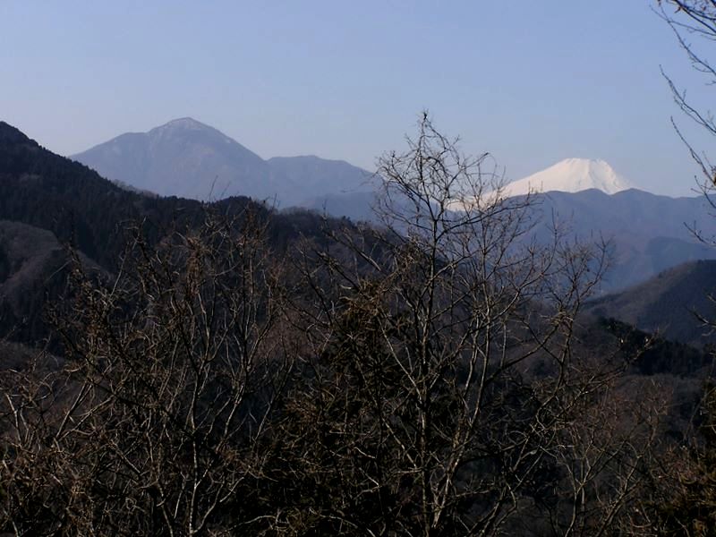 嵐山より富士山と大室山を望む