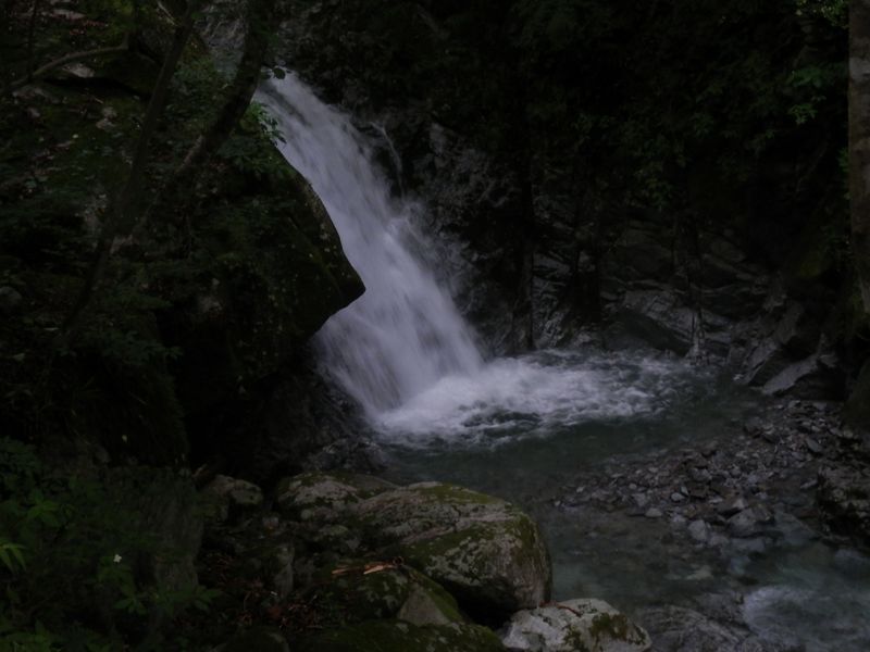 西沢にはいくつもの美しい小滝が見られた