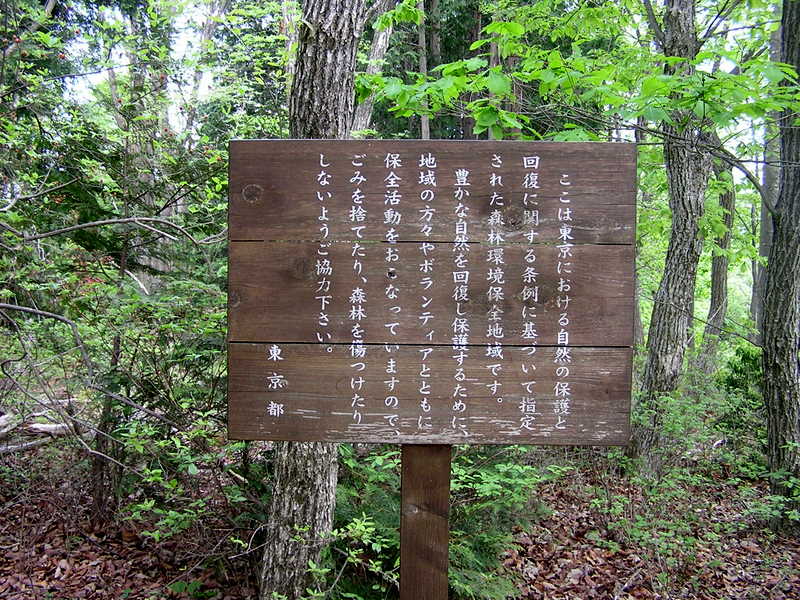 棒ノ折山から岩茸石山 -- この日のコースで、ごみはほとんど見られなかった