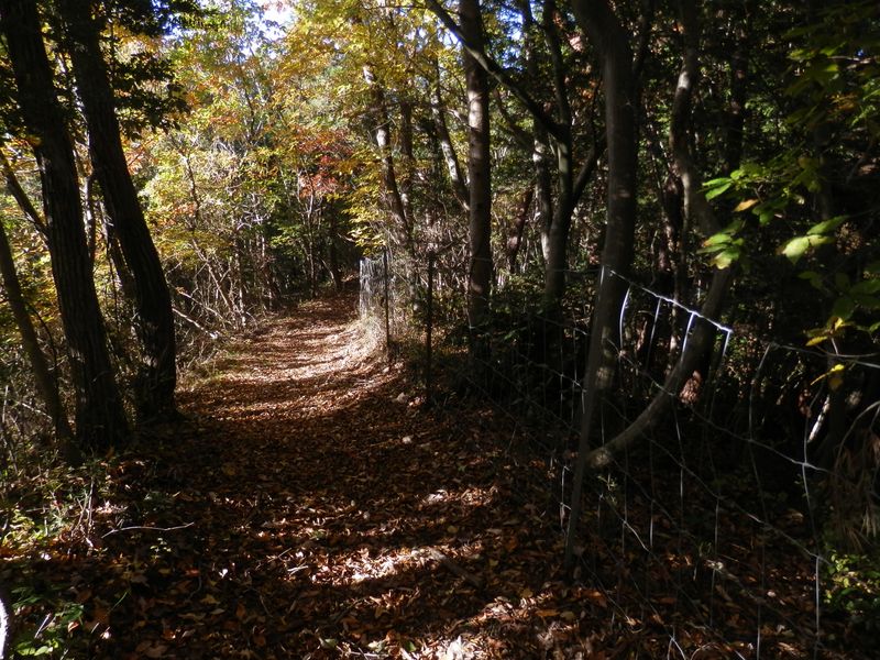 デン笠・甚之函山 -- イノシシ除けの柵に沿った道