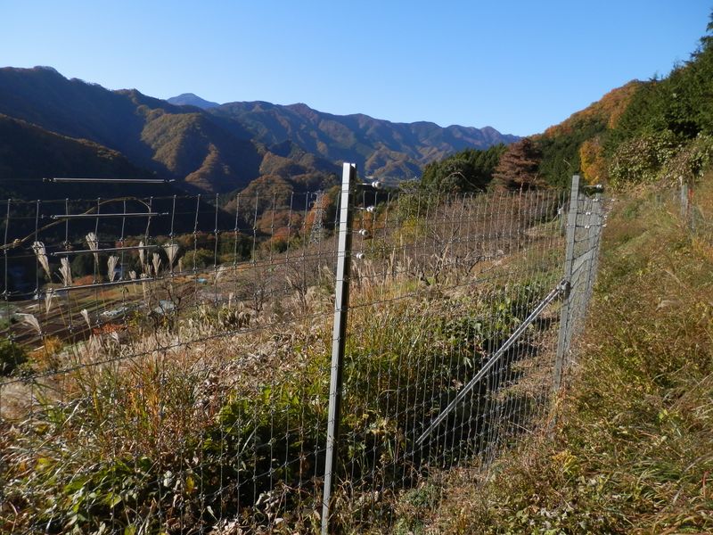 デン笠・甚之函山 -- 道志の山々を眺めながら、電気柵に沿って歩く