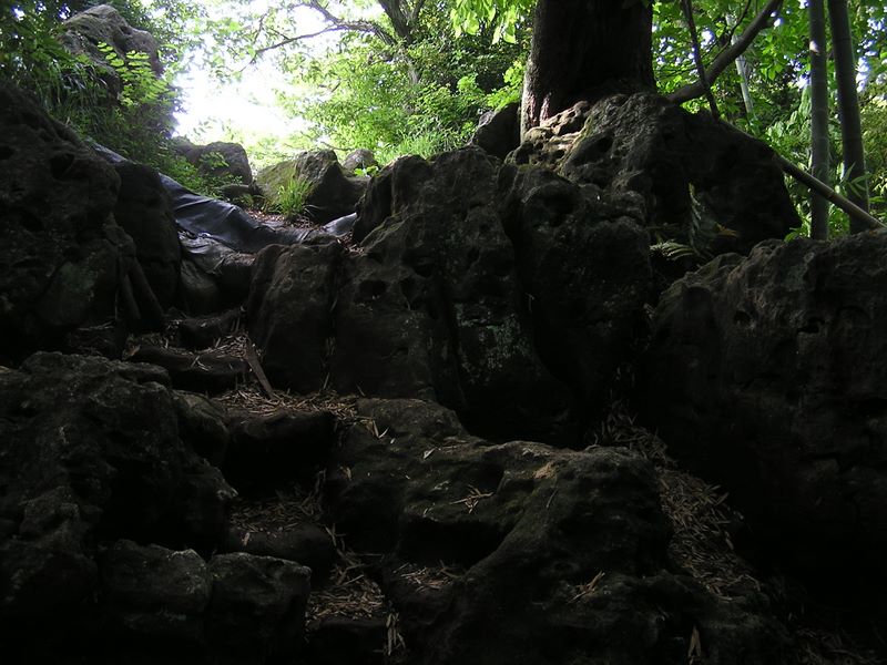 円海山・大丸山 -- この岩を登れば天園