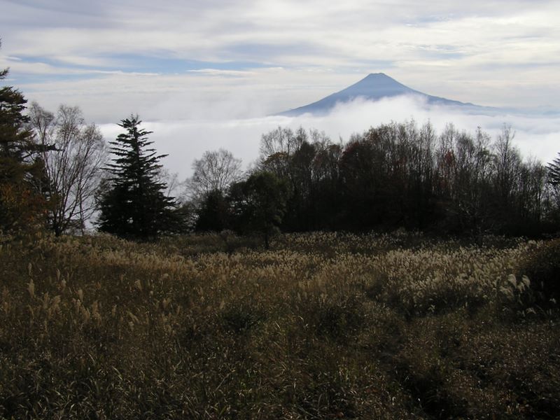 富士山とススキの原