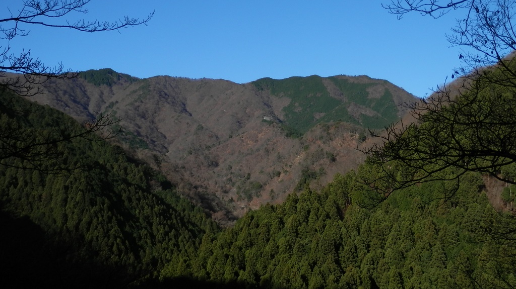 焼山と丹沢主脈の稜線