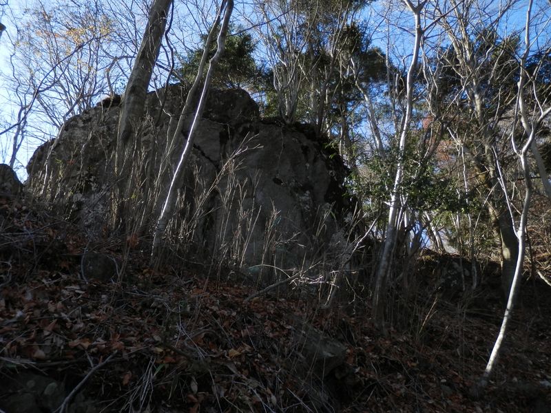 大きな露岩