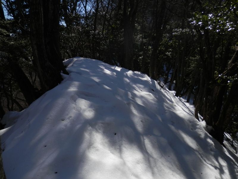 きれいな雪にツボを作りながら登る