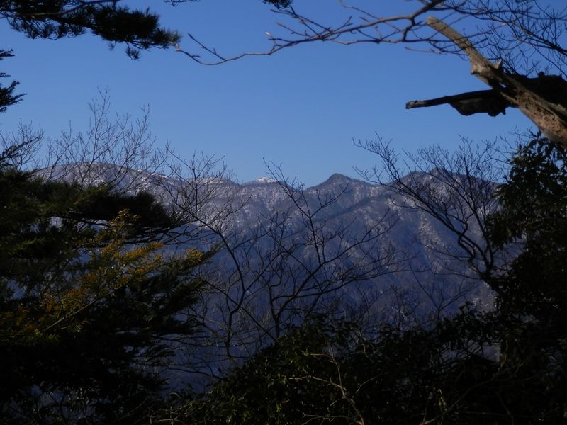 鍋嵐山頂より丹沢三峰と蛭ヶ岳