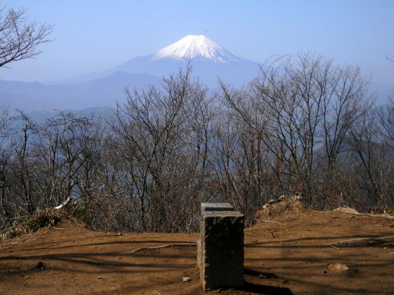 権現山頂より、富士山と三角点石