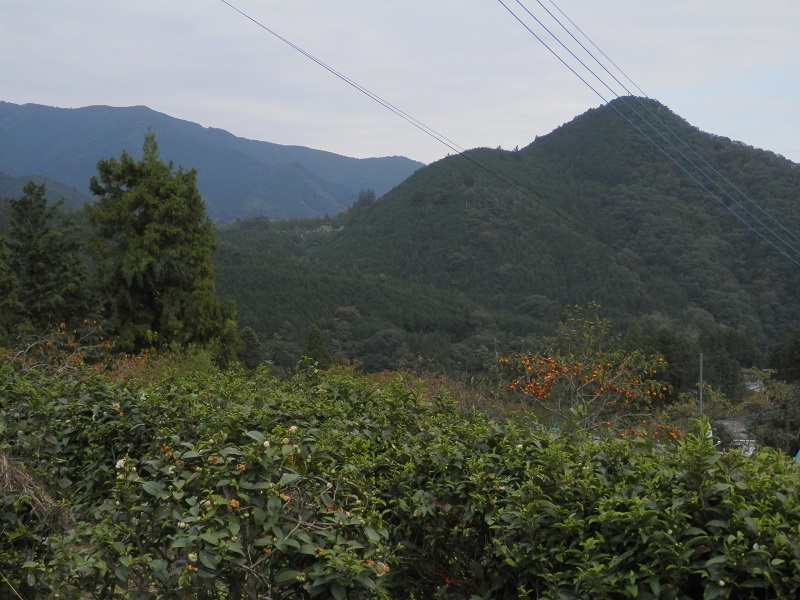 笹尾根と聖武連山