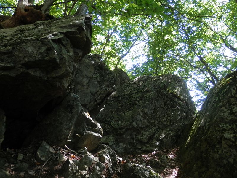 御前山 -- 大きな岩（ウトウ岩）を通過する