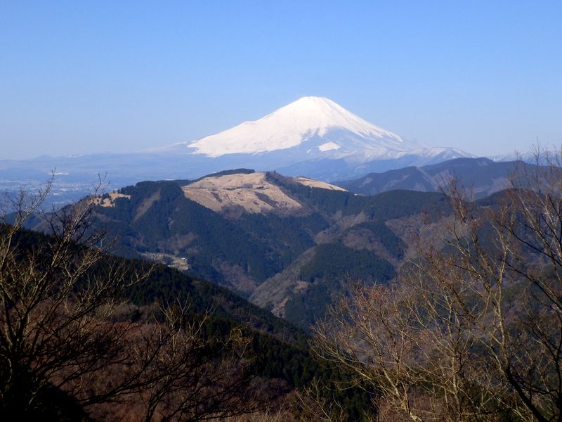 富士見台の富士山と大野山