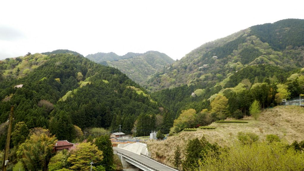 みやがせ道より、森ノ岳（左）と辺室山