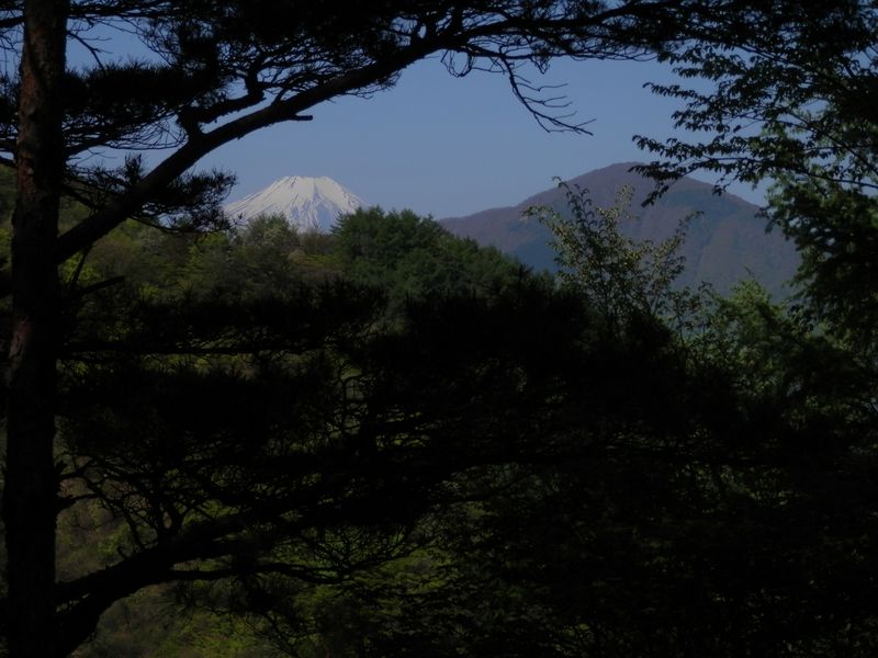 この尾根から富士山を撮影するのは容易ではない