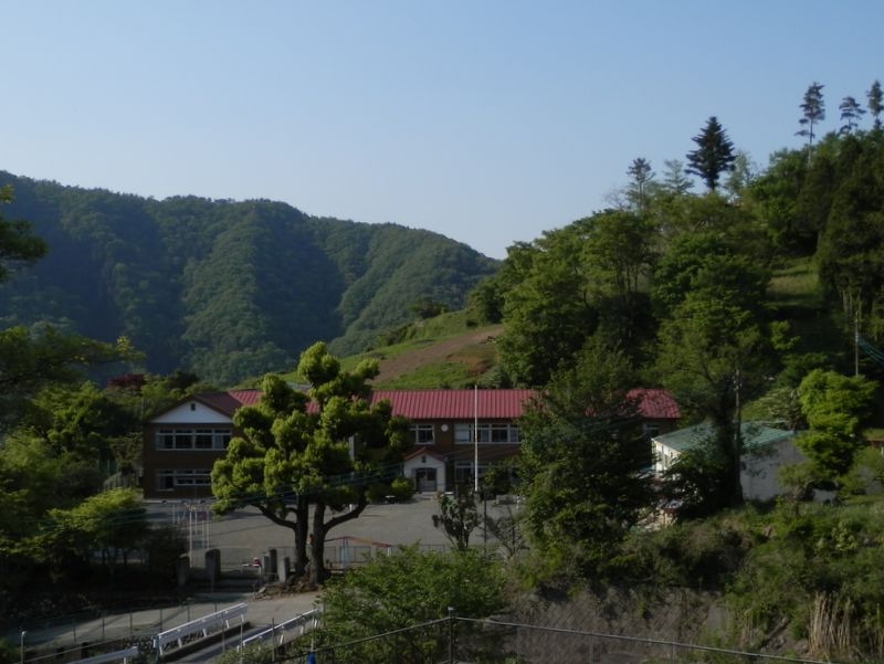 青根小学校には、すてきな裏山がある