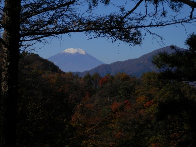富士山と大室山を望む