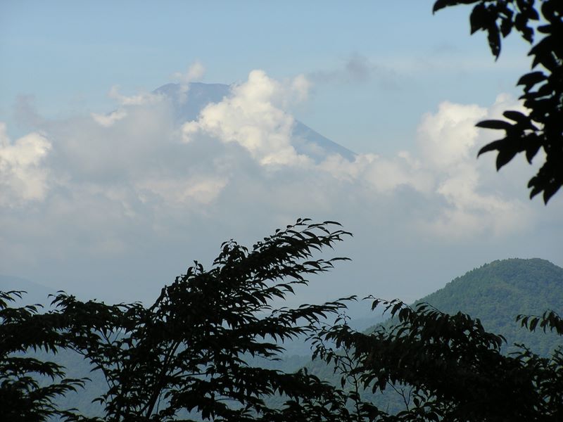 檜洞丸 -- 展望台から富士山を望む
