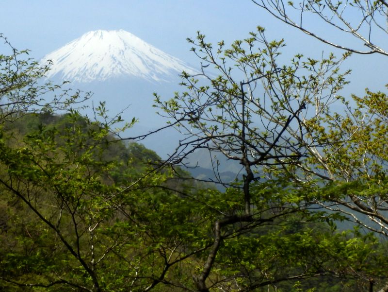 空中に浮かぶ富士山