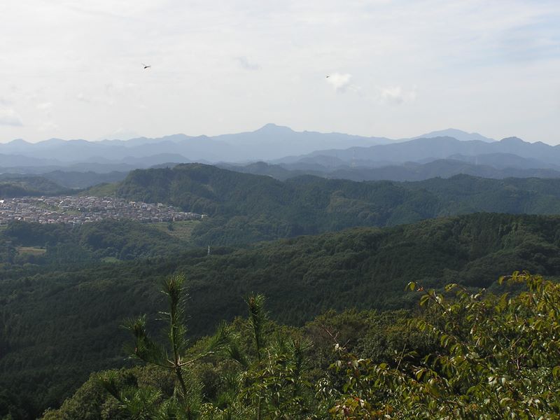 日和田山 -- 金刀比羅神社前より望む大岳山と奥多摩の山々