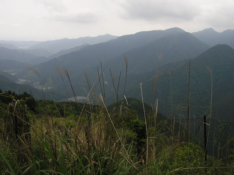 本仁田山 -- 花折戸尾根の伐採地より、右に御岳山、大塚山を望む