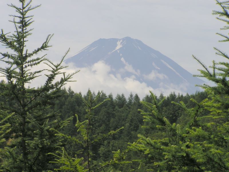 本社ヶ丸 -- 3番目の送電鉄塔で初めて富士山が見える。