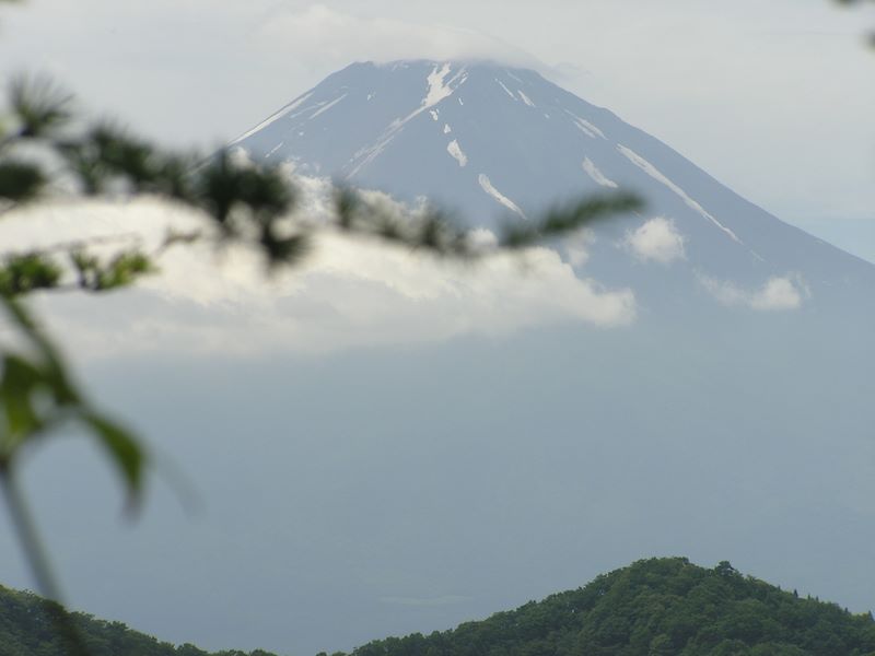 本社ヶ丸 -- ヤブの合間から富士山が見えた