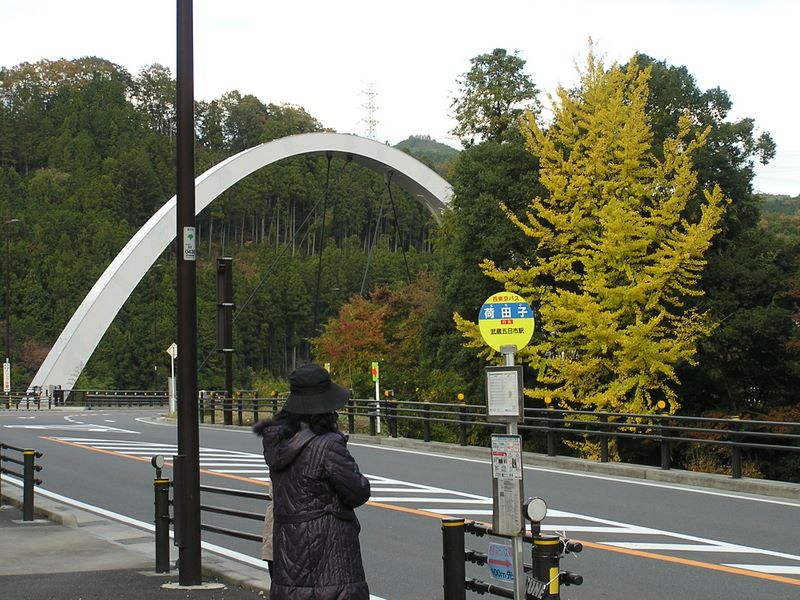 市道山・臼杵山 -- 荷田子バス停で武蔵五日市駅行きのバスを待つ