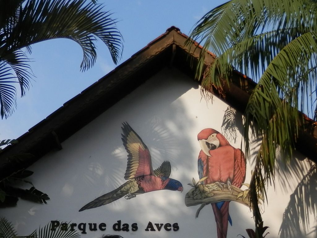 鳥の公園： Parque das Aves