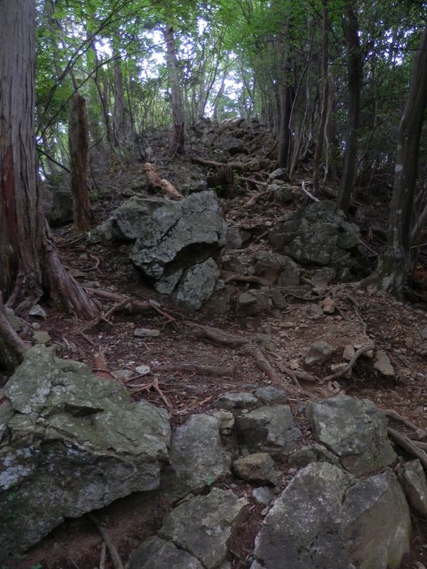 かなりの傾斜のあるゴロ岩を登る