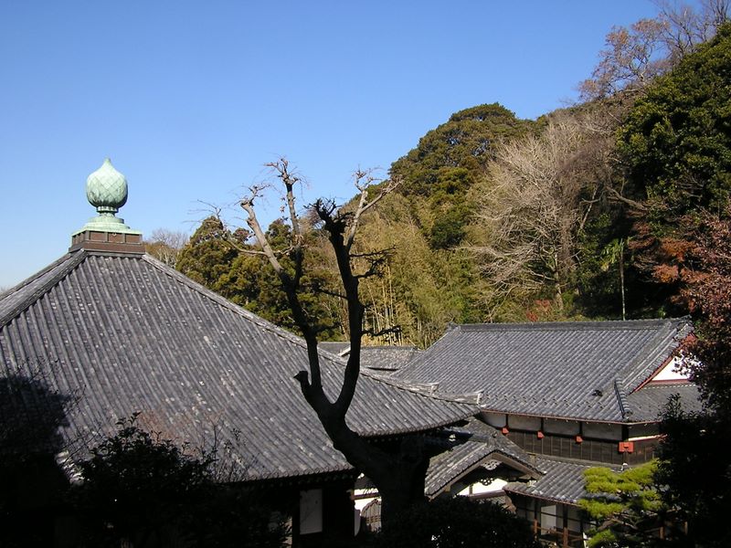 神武寺から鷹取山 -- 神武寺本堂の屋根