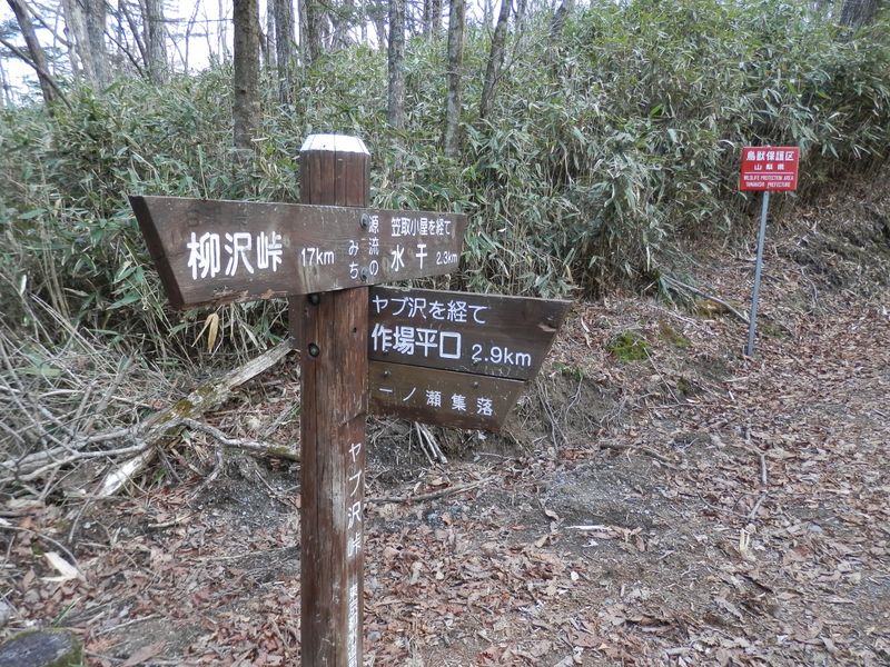 笠取山 -- ヤブ沢峠を通過