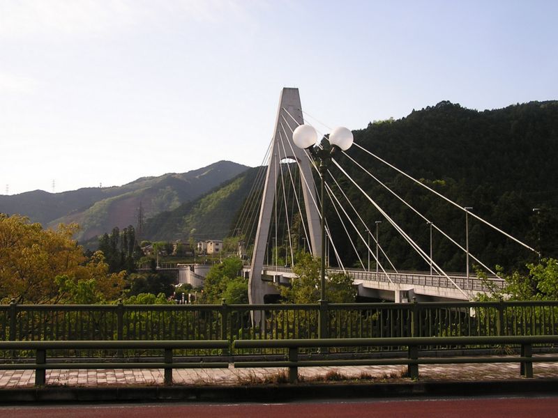 川苔山 -- 奥多摩大橋（白）と大正橋（緑）