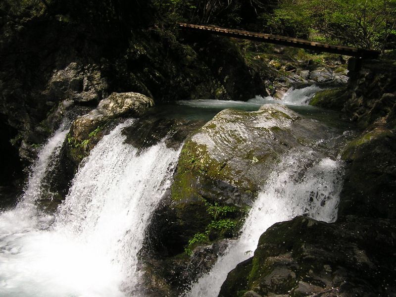 川苔山 -- プールと小滝の連続