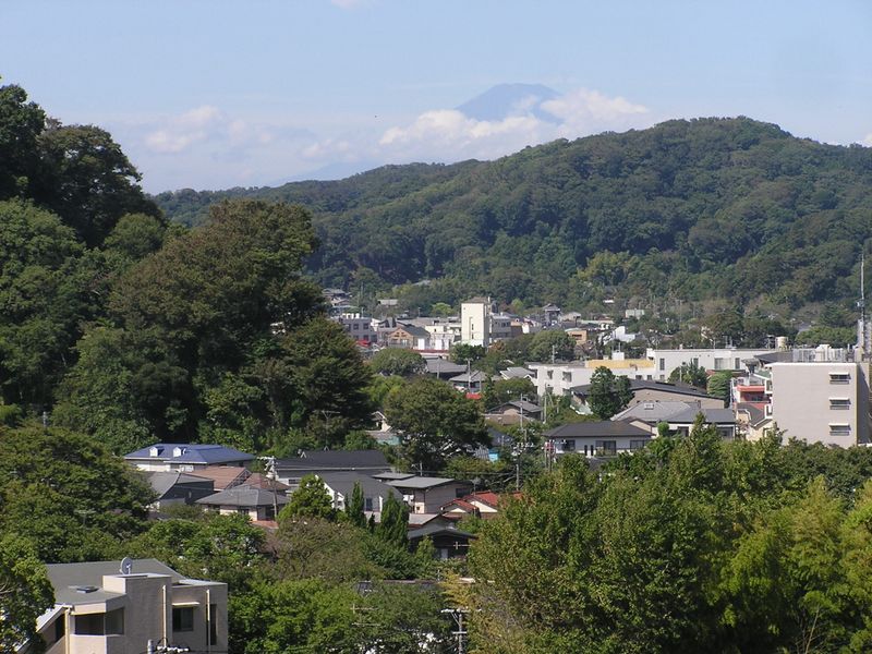 杉本寺本堂の西から、富士山を望む