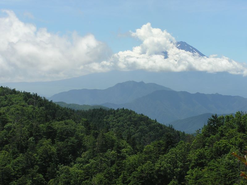 小金沢山頂から富士山､三ツ峠山、本社ヶ丸を望む