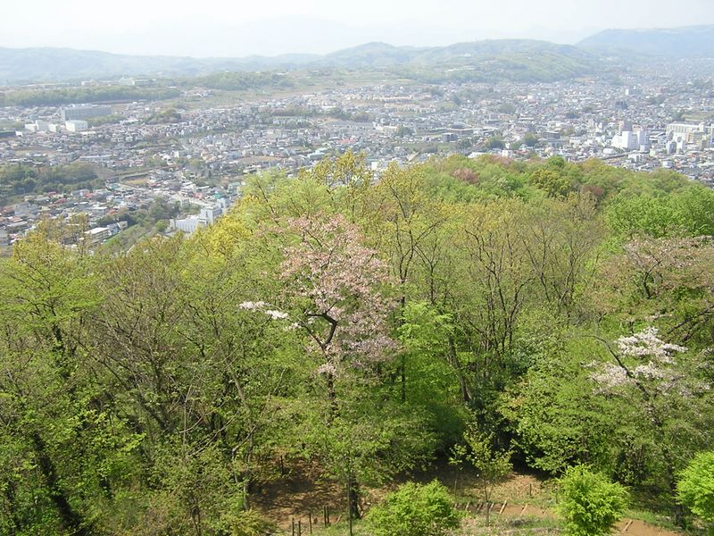 弘法山 -- 展望台より秦野市街地と渋沢丘陵方面を望む