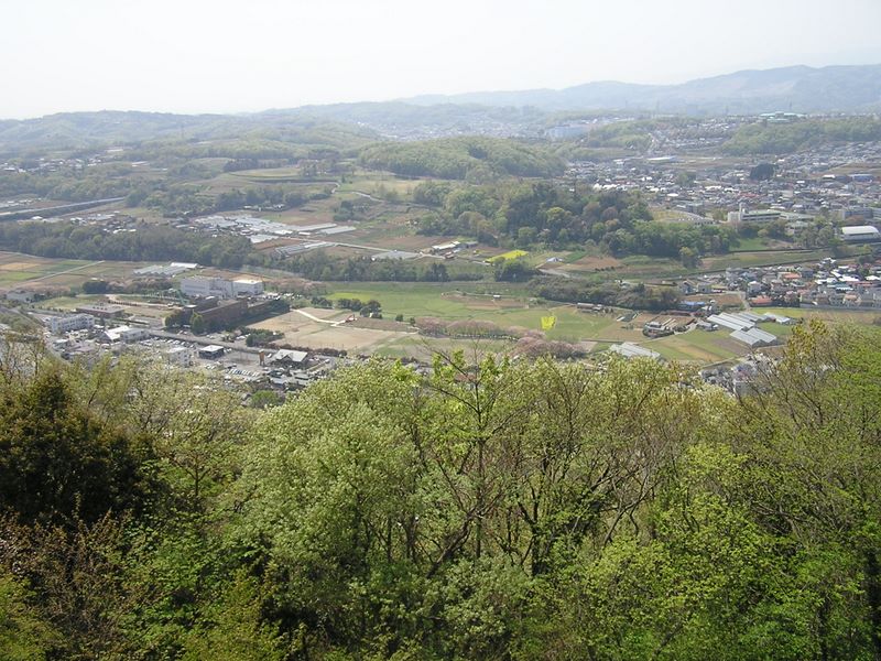 弘法山 -- 眼下の田園地帯を望む