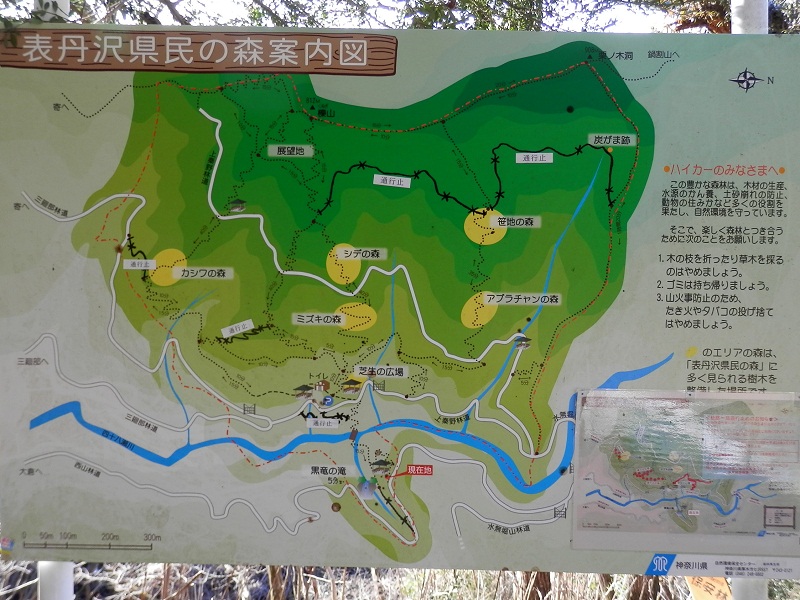 表丹沢県民の森案内図