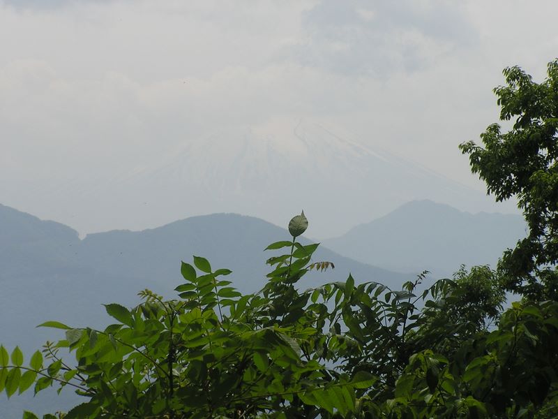 倉岳山・高畑山 -- 富士はやっぱり富士