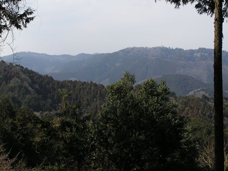 カタクリ・草戸山 -- 榎窪山から望む高尾山（右）と小仏城山
