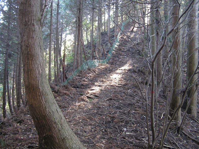 経ヶ岳・華厳山・高取山 -- 殺風景な古びた柵が、華厳山との鞍部まで続く