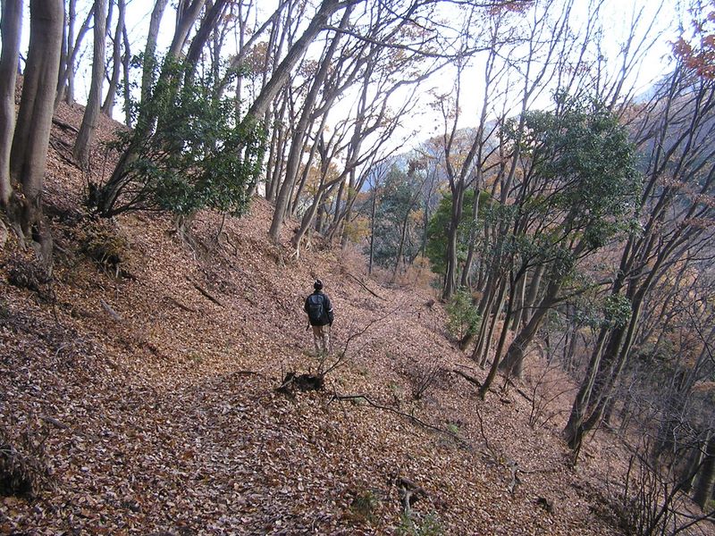 三峰山 -- 落ち葉をサクサク踏みしめて