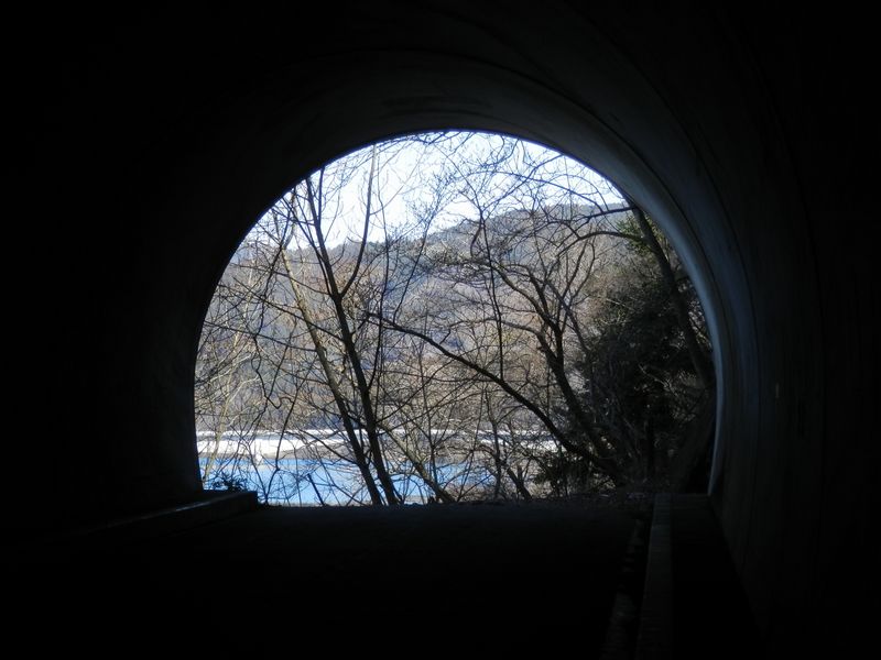 清川トンネルを出た先に道はない