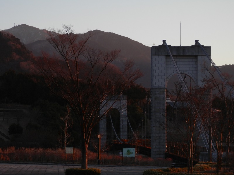 朝日を受ける、大倉の「風の吊橋」と大山