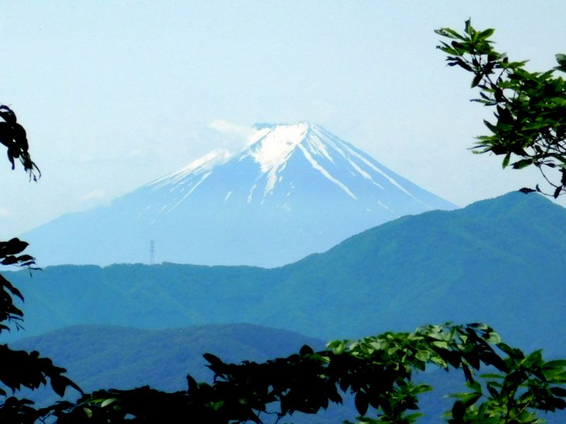 見えた！富士山