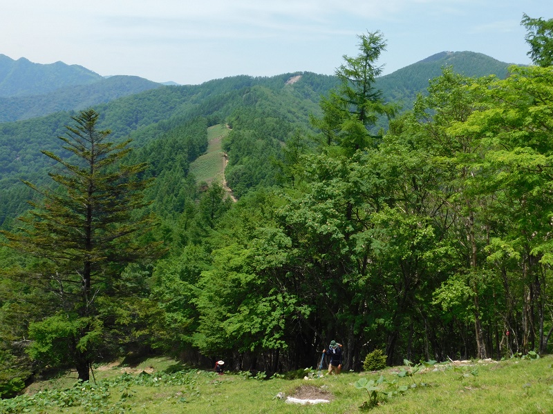 雲取山（右）への縦走路