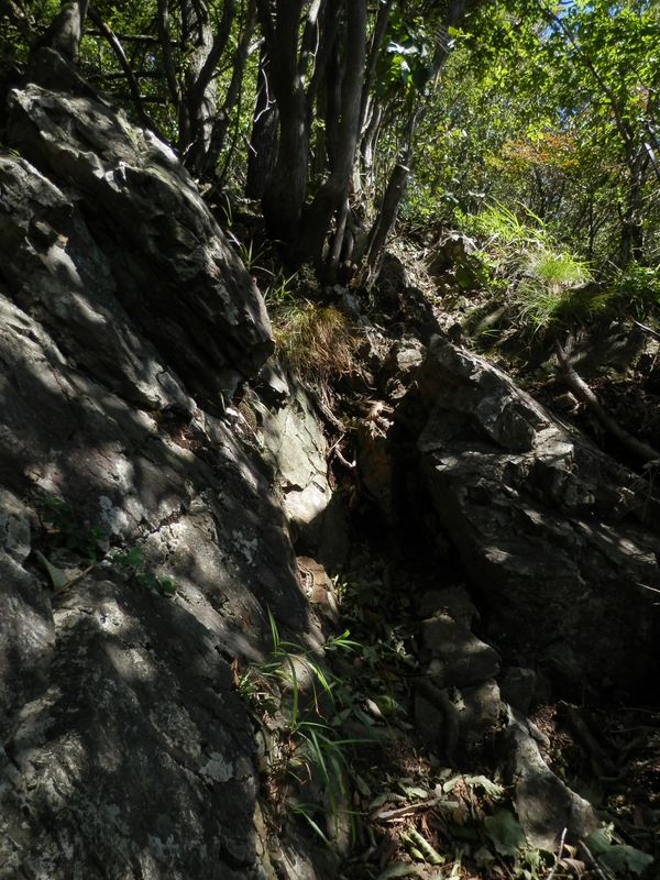 ヤセ尾根の小さな岩場