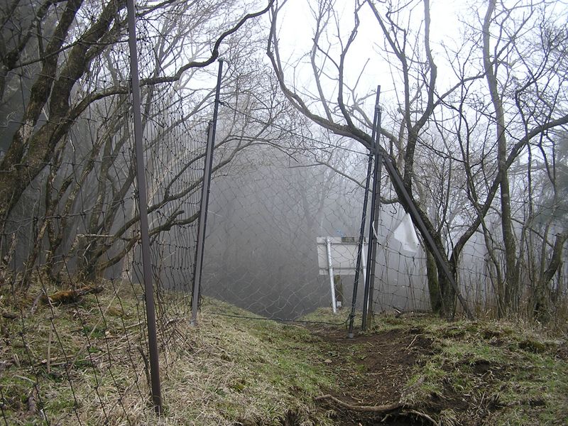 大山ミニアドベンチャー -- このゲートを通過すると、大山参道の鳥居が見える