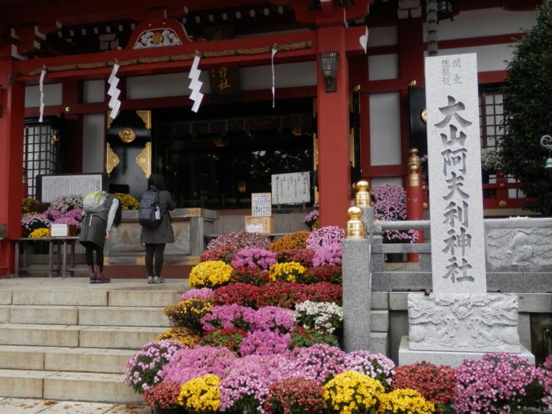 菊を飾った大山阿夫利神社（下社）