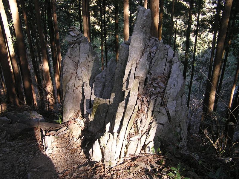 青梅丘陵 -- こんな岩もある